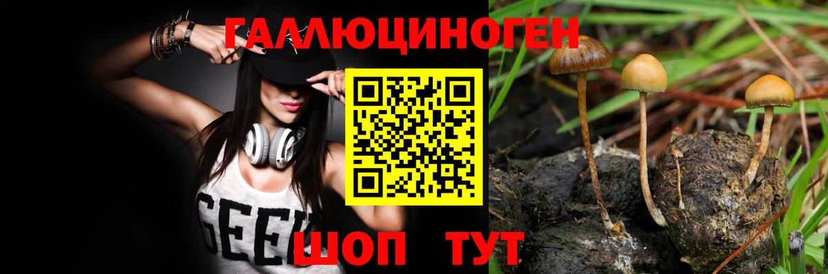 Фрязино  Галлюциногенные грибы Magic Shrooms  Вход с VPN 